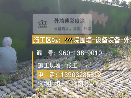乐东外墙迷彩漆材料价约 45-60 元 /k