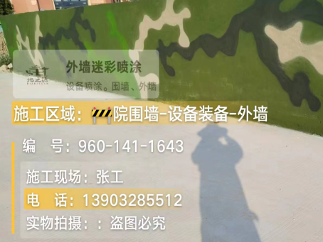 乐东 迷彩漆喷涂价格（按平方米计费）