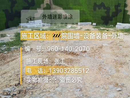 乐东迷彩漆喷涂方法（通用 + 数码专项